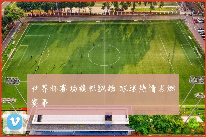 世界杯赛场旗帜飘扬 球迷热情点燃赛事