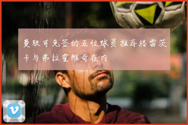 曼联可免签的五位球员推荐格雷茨卡与弗拉霍维奇在内