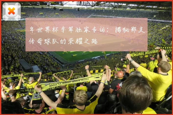 年世界杯季军独家专访:揭秘那支传奇球队的荣耀之路