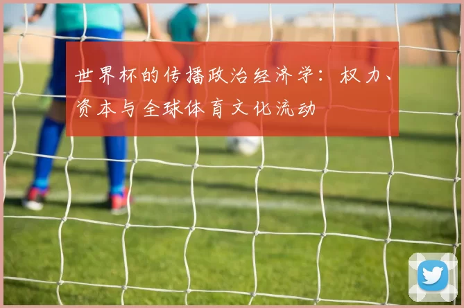世界杯的传播政治经济学:权力、资本与全球体育文化流动