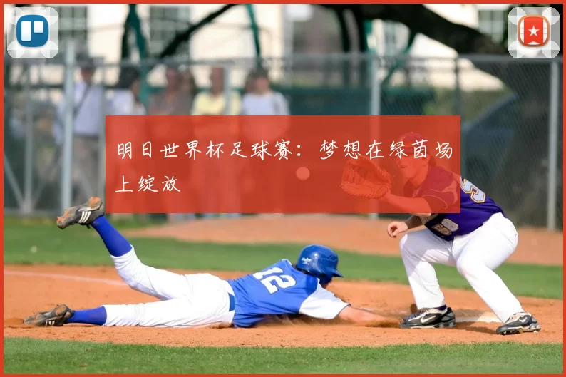 明日世界杯足球赛:梦想在绿茵场上绽放
