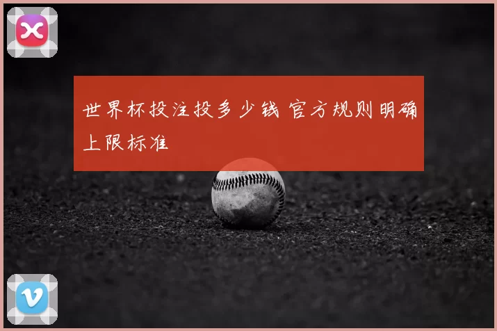 世界杯投注投多少钱 官方规则明确上限标准