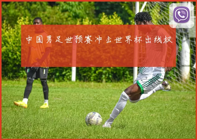中国男足世预赛冲击世界杯出线权
