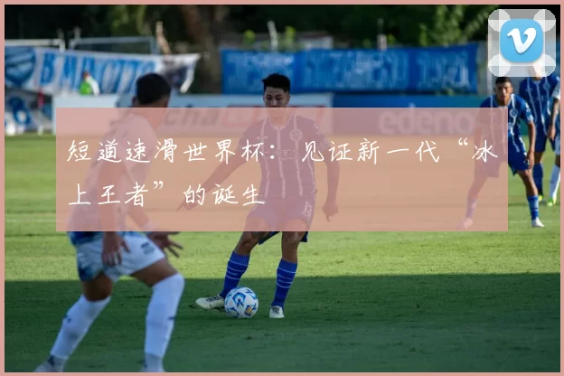 短道速滑世界杯:见证新一代“冰上王者”的诞生