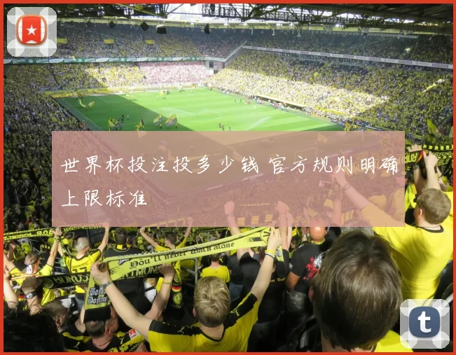 世界杯投注投多少钱 官方规则明确上限标准
