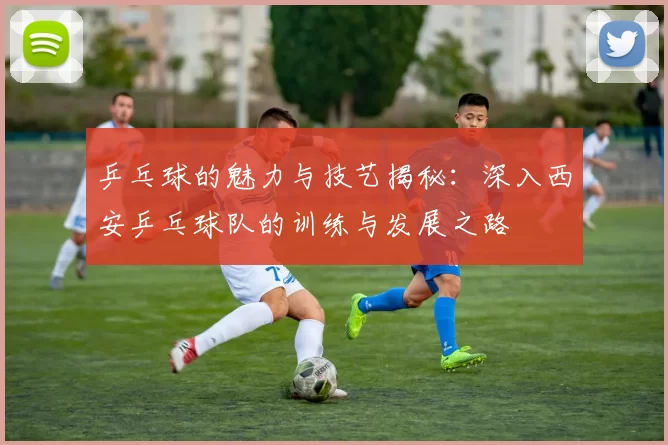 乒乓球的魅力与技艺揭秘:深入西安乒乓球队的训练与发展之路
