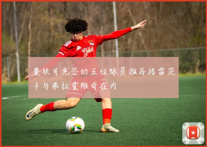 曼联可免签的五位球员推荐格雷茨卡与弗拉霍维奇在内
